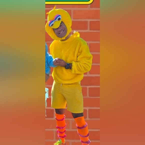 Sesame Street Big Bird Adult Costume Halloween - Picture 1 of 11